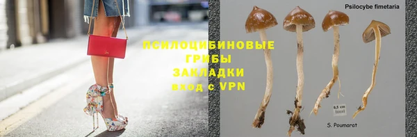 Альфа ПВП Остров