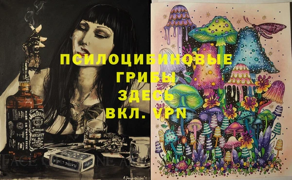 МДПВ Осташков