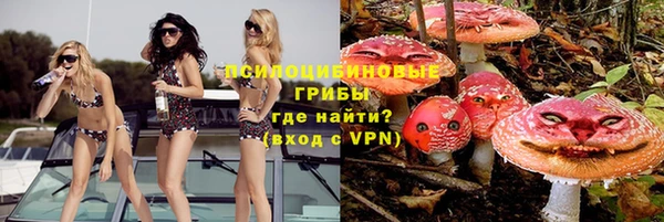 МДПВ Осташков