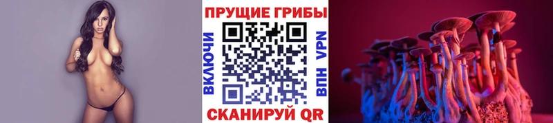 Псилоцибиновые грибы мухоморы  Купить  Елец 