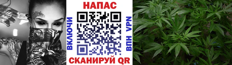 Купить где  Елец  Шишки марихуана планчик 